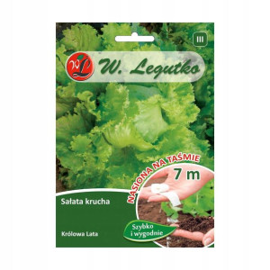 Sałata głowiasta krucha KRÓLOWA LATA nasiona na taśmie 7 m W. LEGUTKO