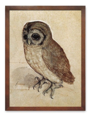 Obraz z sową płótno w ramie 33x43cm
