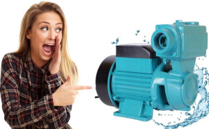 Pompa Hydroforowa Wzi 250 Ibo Wz 250 Ibo