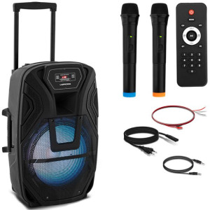 Głośnik bezprzewodowy Bluetooth 2 mikrofony 50W