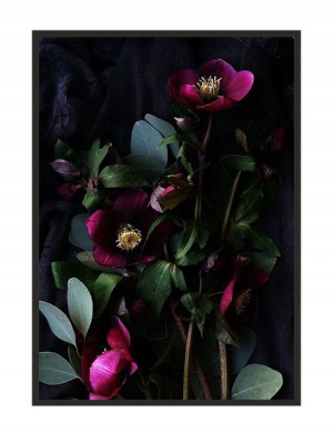 OBRAZ PLAKAT W RAMIE 53x73 cm Kwiaty P1525