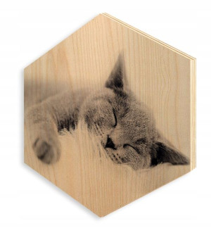 Obraz na sklejce drewno HEKSAGON 30x35cm SP502