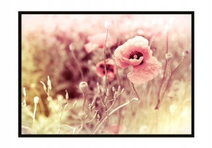 OBRAZ PLAKAT W RAMIE 53x73 cm Kwiaty P1222
