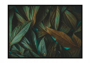 OBRAZ PLAKAT W RAMIE 73x53 cm Liście P1125