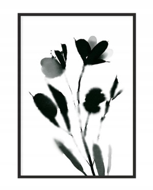 OBRAZ PLAKAT W RAMIE 33x43 cm Kwiaty P1116