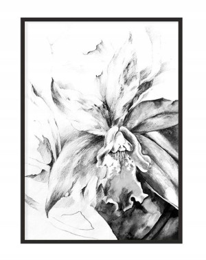 OBRAZ PLAKAT W RAMIE 33x43 cm Kwiat P1099