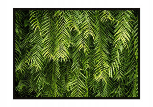 OBRAZ PLAKAT W RAMIE 33x43 cm Liście P993