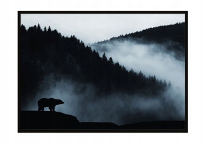 OBRAZ PLAKAT W RAMIE 33x43 cm Puszcza P828