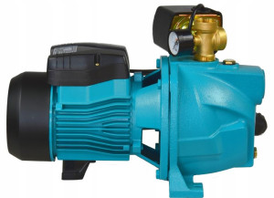 Pompa Hydroforowa Jsw100 Osprzętem 1100w Hydrofor