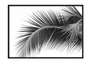 OBRAZ PLAKAT W RAMIE 33x43 cm Palma P632