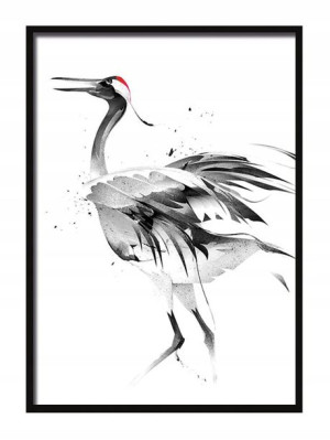 OBRAZ PLAKAT W RAMIE 53x73 cm Żuraw P552