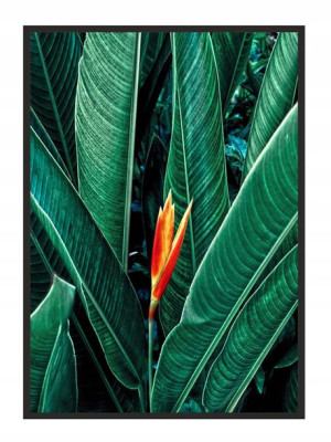 OBRAZ PLAKAT W RAMIE 53x73 cm Liście P645