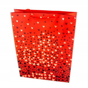 Torebka Prezentowa Serduszko 31x42cm Różne Kolory