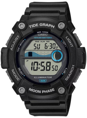 Zegarek Casio Sportowy WS-1300H-1AVEF
