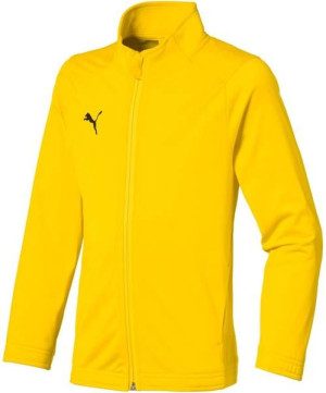 Bluza Puma Sideline na zamek [655947 07]
