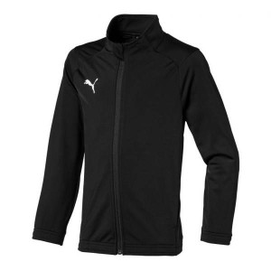 Bluza Puma Sideline na zamek [655947 03]