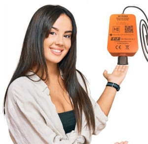 Sterownik Wifi Bramy Furtki Gate 2 Wi-to2s2 Fox
