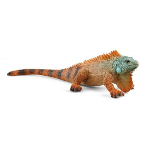 Slh 14854 Iguana 54764