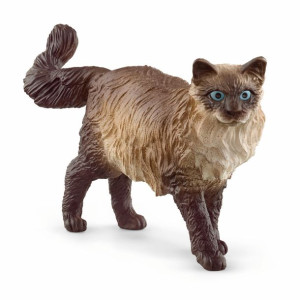 Slh 13940 Kot Ragdoll 63226