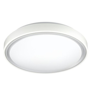 Panel Led Natynkowy Plafon Lampa 30w Biało Srebrny
