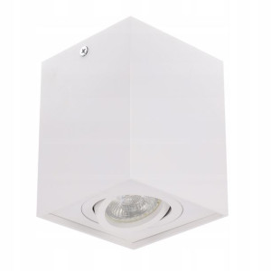 Oprawa NATYNKOWA ruchoma spot GU10 LED KOLORY