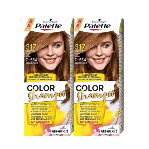 Palette Szampon Koloryzujący 317 Orzechow Blond x2