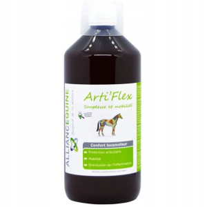 Alliance Equine Suplement dla Koni Stawy 1L