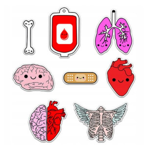Naklejki Dzielny Pacjent Anatomiczne 8 Sztuk Pro