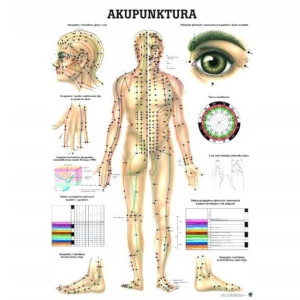 Tablica anatomiczna laminowana AKUPUNKTURA