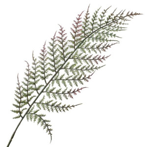 Liść paproci Green/Brown A802 (62cm)