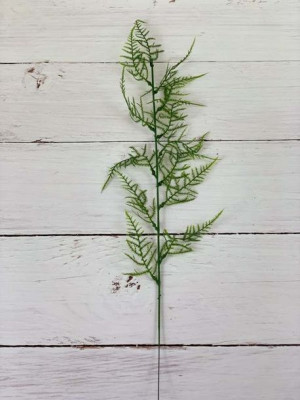Dodatek zielony/ E106/E013 Asparagus  (70 cm)