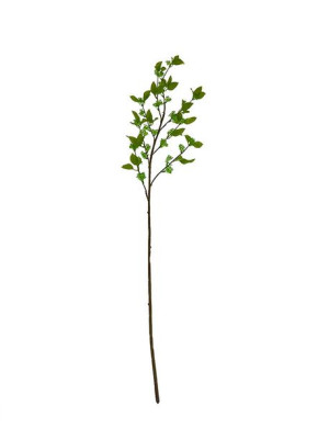 Wiosenna długa gałązka z młodymi listkami Ps062 116 cm