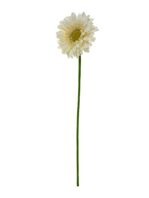 Gerbera pojedyncza G022 55 cm (kremowa)