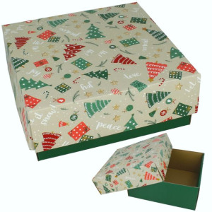 [A][1] Opakowanie świąteczne 20x20x8,5 cm karton szaro zielony K201