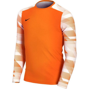 Bluza bramkarska dla dzieci nike dry park iv jsy ls gk junior pomarańczowa