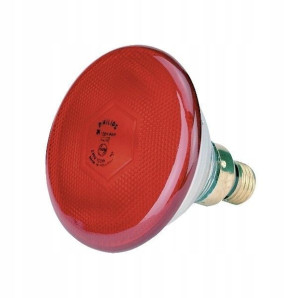 Żarówka Grzewcza promiennika Philips 100 W PAR38
