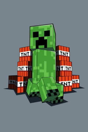 KOC z polaru 100x150cm Minecraft Creeper TNT