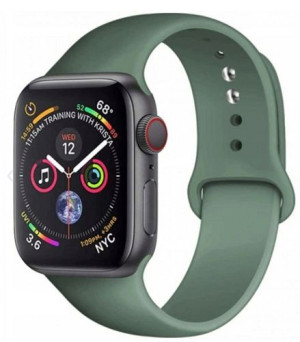 Sportowy Pasek Do Apple Watch Kolory 38/40MM HIT