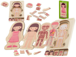 Puzzle drewniane anatomia montessori dziewczynka