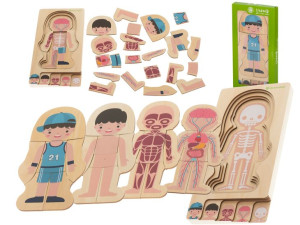 Puzzle budowa ciała montessori chłopiec drewniane