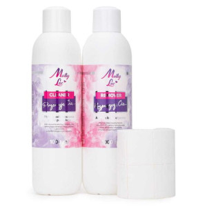 Flowing Set zestaw płynów cleaner + remover 1000 ml