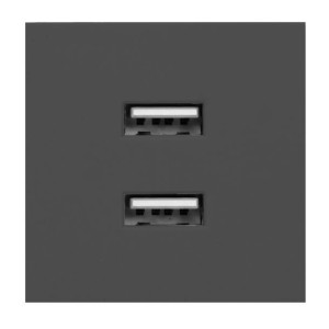 NOEN USB x 2, podwójny port modułowy 45x45mm z ładowarką USB, 2,1A 5V DC, c