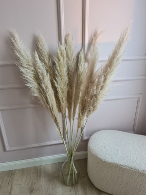 Trawa Pampasowa XL beżowa 130cm, 1 szt