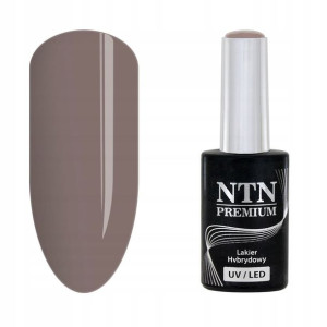 NTN Lakier hybrydowy Premium 111 5g szary grey