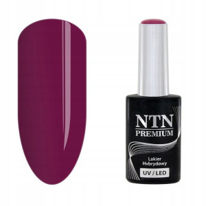 NTN Lakier hybrydowy Premium 104 burgund śliwka 5g
