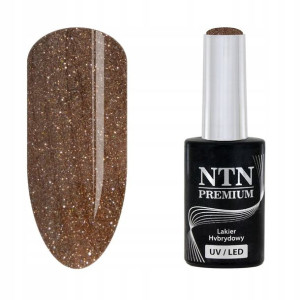 NTN Lakier hybrydowy Premium 81 Fiesta 5g brokat