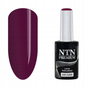NTN Lakier hybrydowy premium Multicolor 87 5g