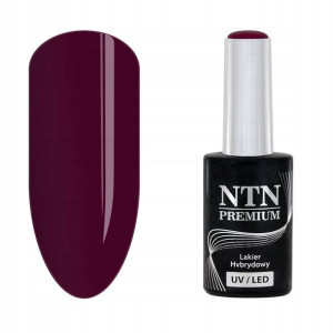 NTN Lakier hybrydowy premium Seductive 131 5g