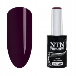 NTN Lakier hybrydowy premium Seductive 132 5g