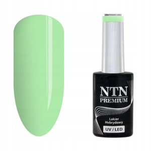 NTN Lakier hybrydowy Premium 179 Garden Party 5g